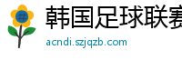 韩国足球联赛